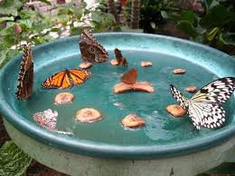 41 Brilliant Home Hacks To Make Life Easier For Moms And Homemakers Our Home Sweet Home Gardening Tips Butterfly Feeder Butterfly Garden