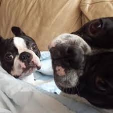 Kommmunikationsprobleme beim chatten, weil etw. Fahrschule Theorie Zusatzwissen Fragen Ohne Bild Flashcards Quizlet