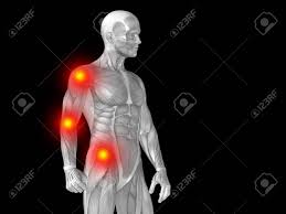 I'm longing for him, moaning in my arms (imagining myself changmin). Conceptual 3d Illustration Human Man Anatomy Upper Body Health Stock Photo Picture And Royalty Free Image Image 79626434