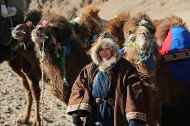 Between the combination of the anatomy and absolutely wonderful conditions, the shape is supposed to look like the front feet of a camel. Interview With Baigalmaa Norjmaa Mongolia To London By Camel Explorersweb