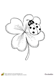 Page 20 Sur 25 Sur Hugolescargot Com Coloriage Coccinelle Dessin Coccinelle Coloriage