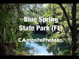 Located in orange city, blue springs state park is famously known as florida's most popular manatee refuge, home to a large collection of west nestled on the banks of the suwannee river wilderness trail, the cabins at stephen foster culture center state park in white springs have. Blue Spring State Park Florida Campsite Photos Youtube