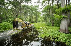 Главная штаты сша штат луизиана (state of louisiana). Songs From Louisiana About Louisiana