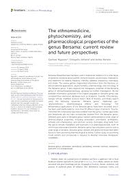 Image result for Bersama swynnertonii