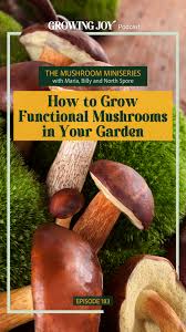 The Mushroom Miniseries: How to Grow Functional Mushrooms in Your Garden,  Ep 183