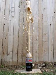 Erupting Diet Coke With Mentos Stem Activity