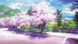 Cherry blossom sakura scenery anime scenery blondie hihi. Cherry Blossom Tree Anime Wallpapers Top Free Cherry Blossom Tree Anime Backgrounds Wallpaperaccess