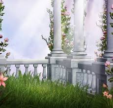 Gallery of physiotherapy and rehabilitation centre pur. Hd Balcony Plants Wallpapers Peakpx