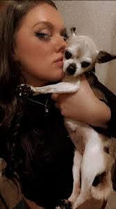 Gina Danzi's Instagram, Twitter & Facebook