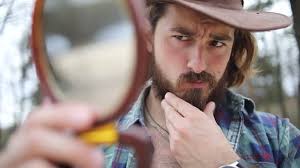 4.544 Bart Lang Stock Videos, Footage, & 4K Video Clips