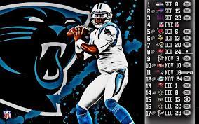 They Ve Defied Expectations This Season Panthers Carolina Panthers Carolina Panthers Wallpaper
