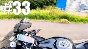 仕事辞めて日本一周ツーリング Part33 北海道】キタキツネ・小樽【モトブログ旅（リメイク）】 - Pornhub.com
