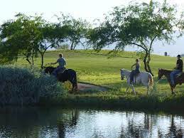 Going on a wild horse trip is an amazing experience. Horseback Riding Picture Of Sheraton Grand At Wild Horse Pass Gila River Indian Community Tripadvisor