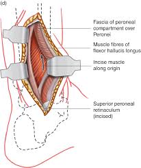 Maybe you would like to learn more about one of these? Applied Basic Sciences Section 5 Postgraduate Orthopaedics