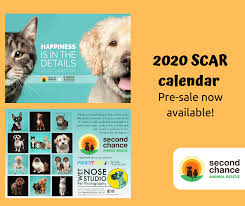 Learn more about second chance for animals inc. Our 2020 Scar Calendar Second Chance Animal Rescue Inc Facebook