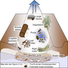 Deepwater habitats include environments where surface water is permanent and often deep, so that water, rather than air, is the principal medium within which Habitat Mosaic An Overview Sciencedirect Topics