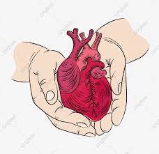 Heart And Hands Health Symbol Medicine Human Hand Draw Vector Illustration Print Set Anatomic Heart Hand Png And Vector With Transparent Background For Free In 2021 Hand Drawn Vector Illustrations