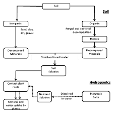 Flow Chart Of Supply Of Nutrients To The Plants