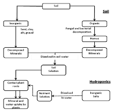 flow chart of supply of nutrients to the plants