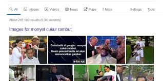 Wah, kalau kamu termasuk tim berhenti dulu pakai jas hujan atau tim tetap terobos karena tanggung? Ketik Monyet Cukur Rambut Di Google Muncul Gambar Jokowi Jangan Gusar Halaman All Kompas Com