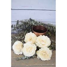 Do sola wood flowers last forever. Sola Wood Karuna Flowers Wood Roses Sola Forever Flowers