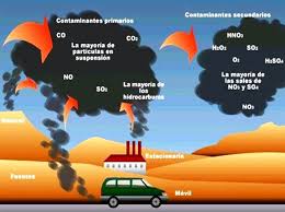 Contaminacion Ambiental
