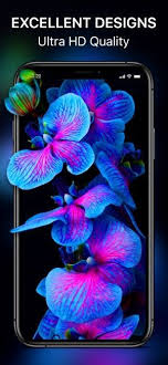 Iphone 8 Plus Wallpaper Ultra Hd Iphone Wallpaper How to set live wallpaper on iphone 8, 8 plus, 7, 7 plus, 6s & 6s plus download link for iphone: