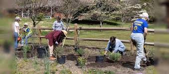 Pisgah Forest Rotary Club