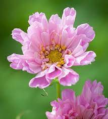 Pin On Beautiful