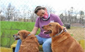Visit tlc for pets in reisterstown, md and save 25% on your vet bill with a pet plan by pet assure. Tlc Looking For Loving Homes For Pets The Dahlonega Nugget Dahlonega Ga