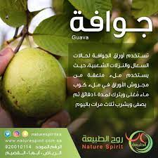 الجوافة Health Healthy Life Food