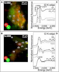 Entdecken sie mehr als 25.000 hörbücher & hörspiele ✓ als cd. Probing The Chemistry Of Cds Paints In The Scream By In Situ Noninvasive Spectroscopies And Synchrotron Radiation X Ray Techniques Science Advances
