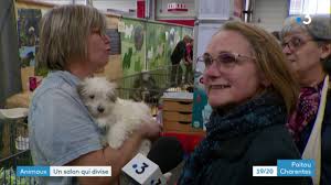 Salon chatons et chiots ce samedi et dimanche à port sur saône saônexpo Salon Du Chiot Poitiers Youtube