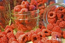 How To Dehydrate Raspberries Seed To Pantry School