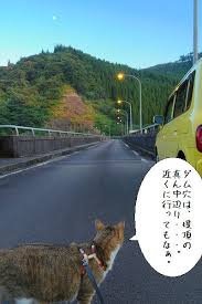 「ダム穴　日本」の画像検索結果