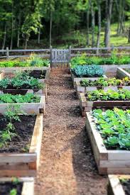 71 Neue Gartenideen Fur Hochbeete Fur Gardenlandscapedesignraisedbeds Gartenideen Hochb In 2020 Groenten Tuin Tuin Indelingen Moestuin
