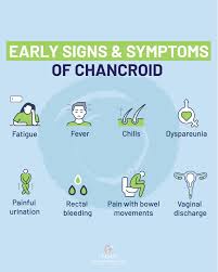 Image result for chancroid