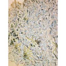 Home » wholesale flower varieties » dried products. Bulk German Statice White German Statice