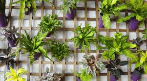 Houseplants of all shapes and sizes can brighten a room, help improve air quality and generally take a look at these 10 ideas for potting, grouping and displaying your houseplants in ways that will. 20 Fun And Interesting Ways To Display Your Houseplants