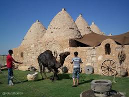 These Are Beehive Homes In Harran Turkey Near The Border With Syria Beehive Homes Stay Cool In The Desert Heat Their Bee Hive Natural Homes Natural Building