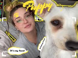 My Sweet Kitty: A Heartwarming Journey with My Feline Friend