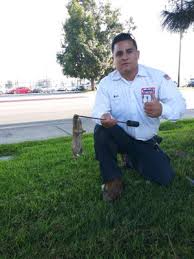 Dewey Pest Control 4642 W Slauson Ave Los Angeles Ca Pest Control Supplies Equipment Manufacturers Mapquest