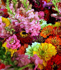 This is very helpful to future customers. Gilbert Az Florist Delivery