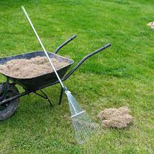 Make a single pass with the vertical mower over your lawn, as you would with a standard lawnmower. How To Dethatch Your Lawn Cardinal Lawns