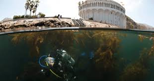 Drive And Dive Catalina Scuba Diving