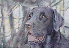 Check out our custom pet portrait selection for the very best in unique or custom, handmade pieces from our pet portraits shops. Fine Art By Claire Custom Pet Portraits Adopt A Pet