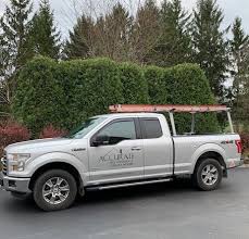 1161 curry road rotterdam, ny 12306. Maintaining Pest Control Services During The Pandemic Accurate Pest Control Ny