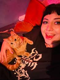 This is my daughter's cat, she's an indoor cat and has never been outside,  we're not sure how she got out so she's probably terrified of you've see  her please inbox me.