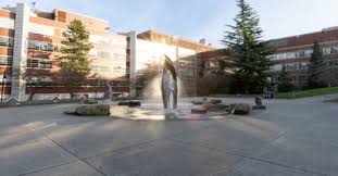 Robert McJunkins, MSN, RN