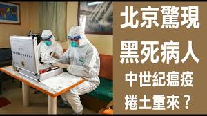 内讧习近平胡锦涛江泽民拖沓 皱纹堆累的温家宝 薄熙来渂 干部诡懒 搞鬼颠覆叛徒增 鼠疫猪瘟 内蒙古鼠疫溯源 当地今年鼠害增多 到处老鼠洞 politics publishing playlist
